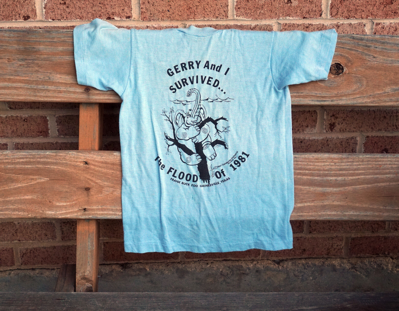 08-29 gerry elephant tshirt.jpg